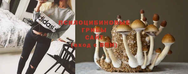 дживик Сясьстрой