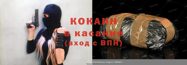 дживик Сясьстрой