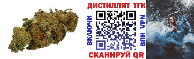 Купить где  Шенкурск  ТГК Wax 