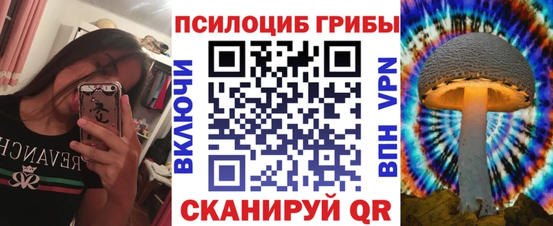 Купить закладки  Шенкурск  Галлюциногенные грибы MAGIC MUSHROOMS 